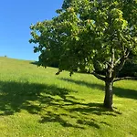 Apartmán Naturidylle Vogtland - Erholsame Im Gruenen *