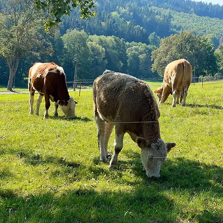 Naturidylle Vogtland - Erholsame Im Gruenen