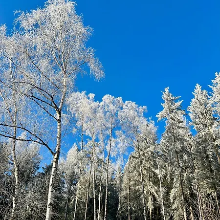 Appartement Naturidylle Vogtland - Erholsame Im Gruenen
